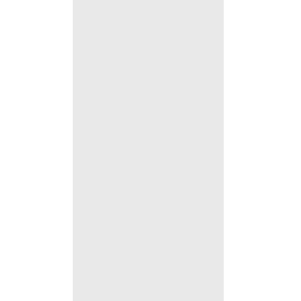 ДСП Шексна светло-серое 16мм (2750х915)